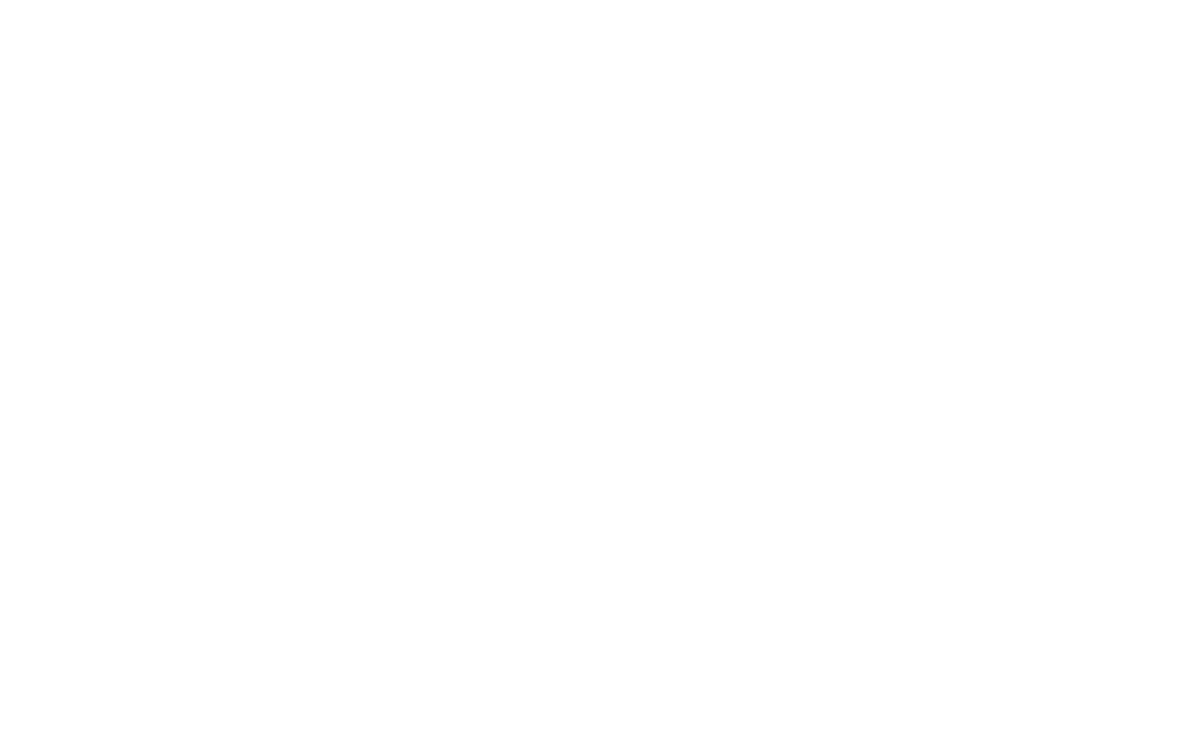 EINSTEIN & NEWTON Logo