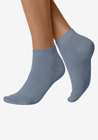 H.I.S Regular Ankle Socks in Blue: front