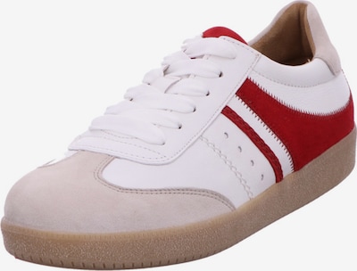 GABOR Sneakers in Camel / Cherry red / White, Item view