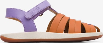 CAMPER Sandals 'Bicho' in Purple