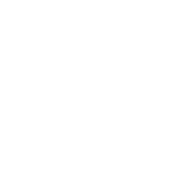 NAYELPARIS Logo