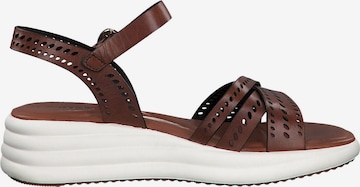 TAMARIS Strap Sandals in Brown