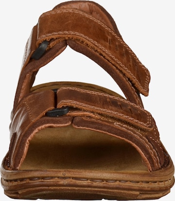 JOSEF SEIBEL Sandals in Brown