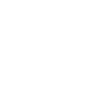 SCHIESSER Logo