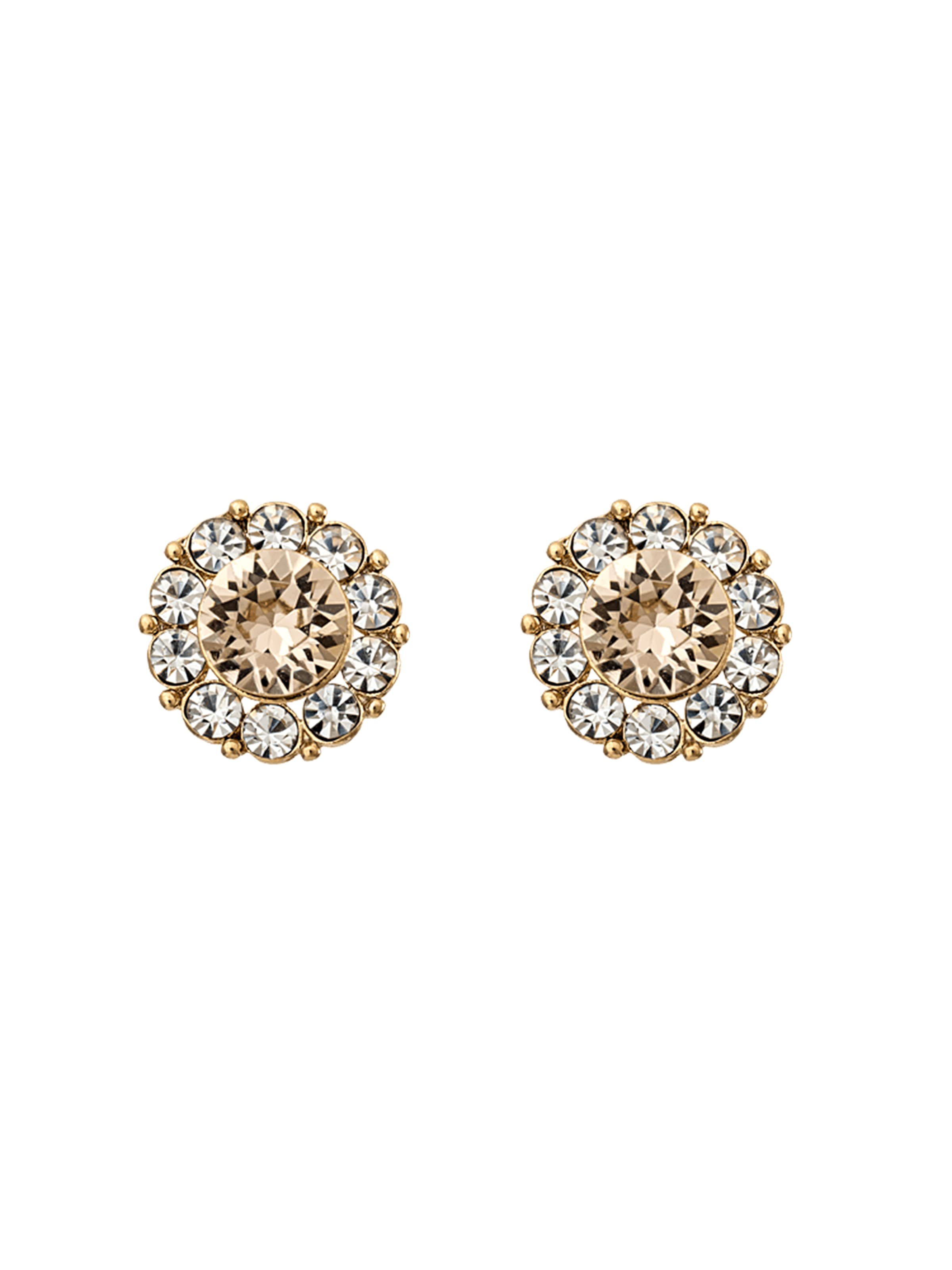 LILY AND ROSE - Oorbellen 'Miss Sofia' in de kleur Goud