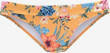 BENCH Bikini Bottoms 'Maui' in Yellow: front