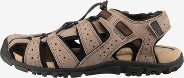 GEOX Hiking Sandals 'S.Strada' in Brown