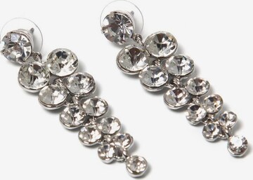 COLLEZIONE ALESSANDRO Earrings in Silver: front