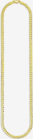 BRUNO BANANI Necklace in Gold: front