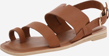 TOMS T-Bar Sandals 'Freya' in Brown: front