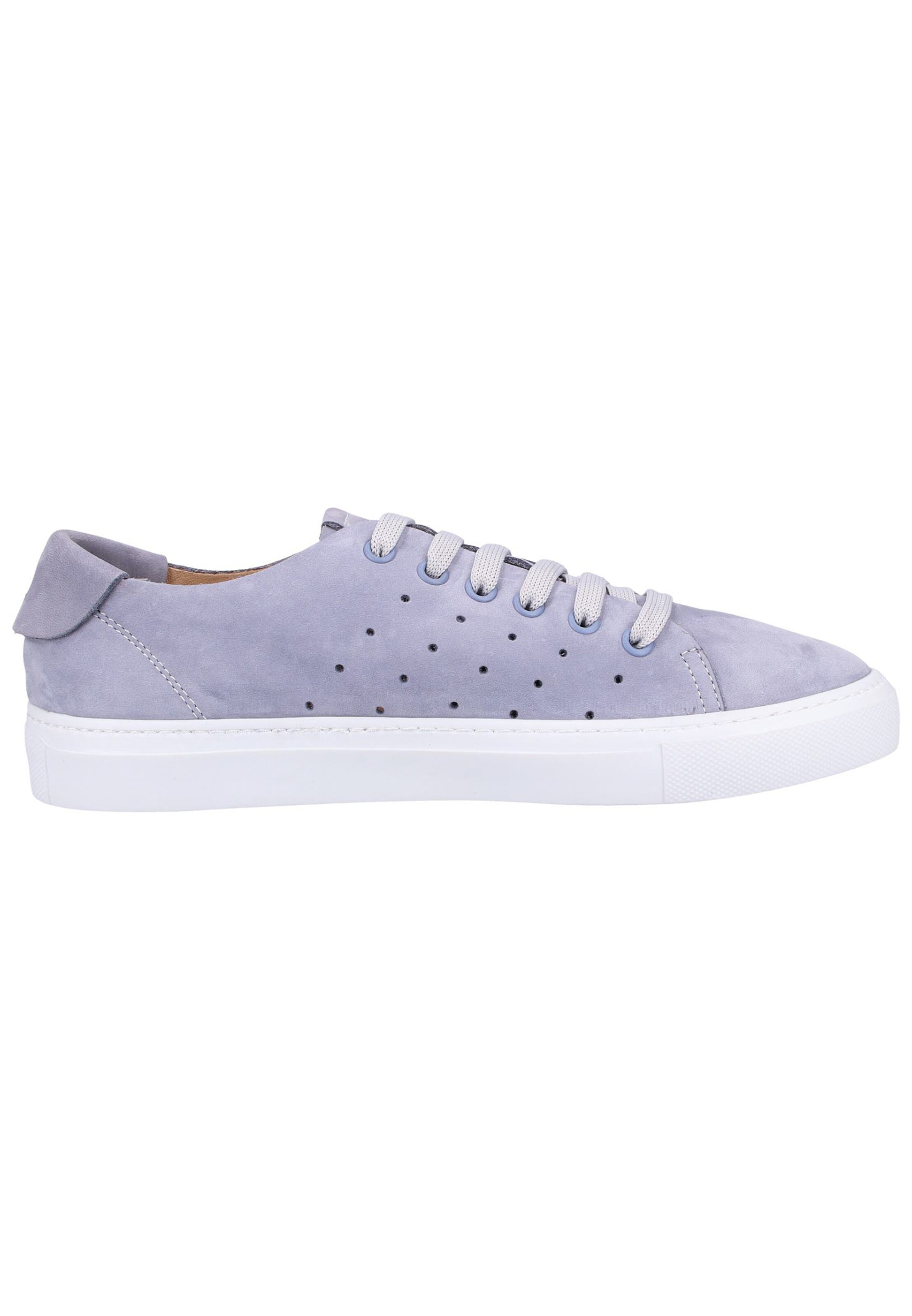 Baskets basses Darkwood en violet