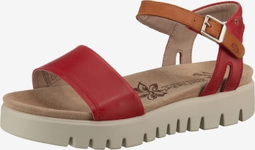 JOSEF SEIBEL Sandalen met riem 'Thea 05' in Rood: voorkant