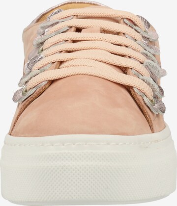 Darkwood Sneaker in Pink