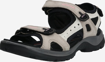 Sandalo da trekking 'Offroad' di ECCO in beige: frontale