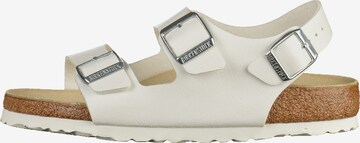 Sandales 'Milano' BIRKENSTOCK en blanc