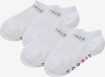 Chaussettes ESPRIT en blanc : devant