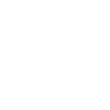 ALEX Logo