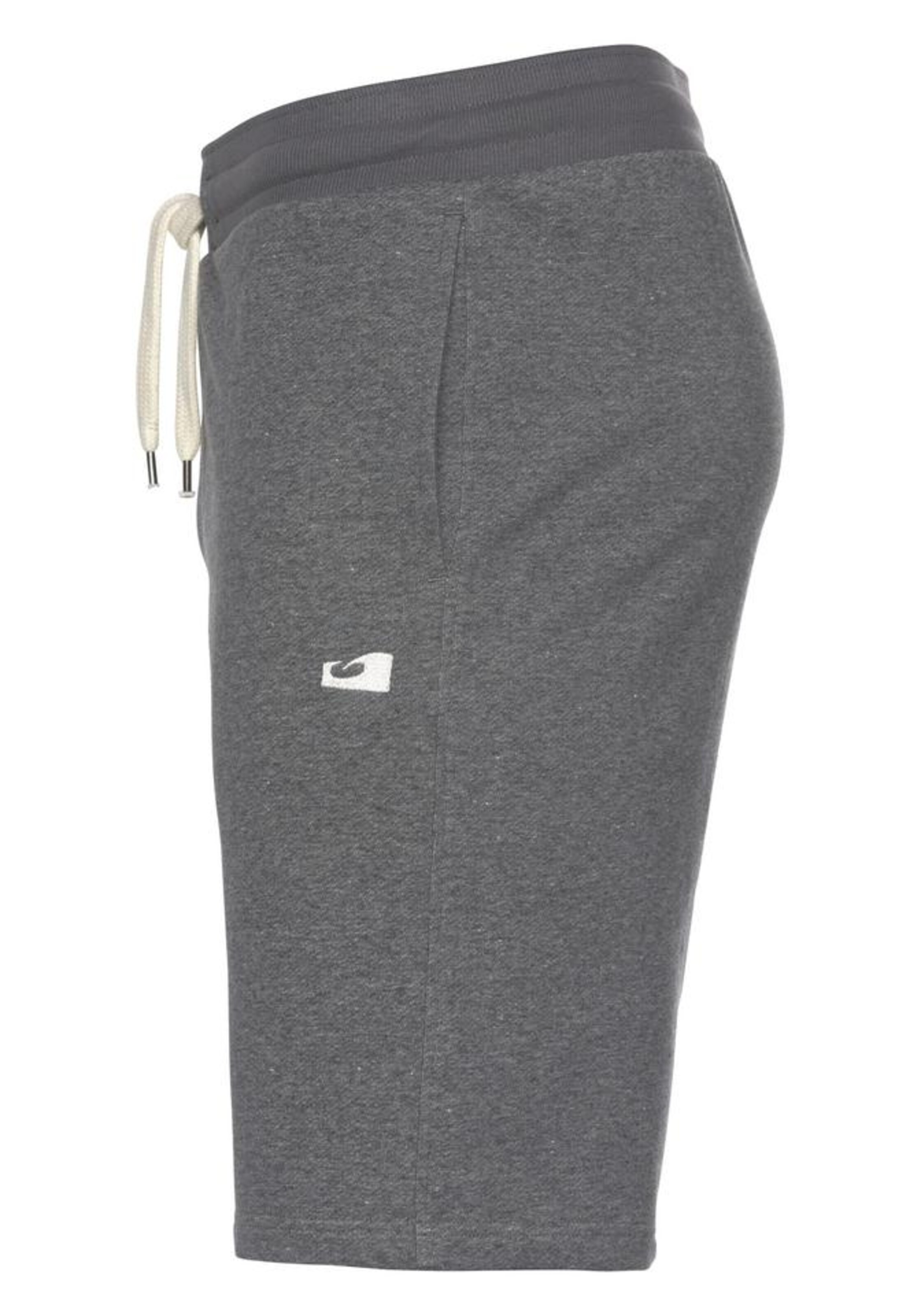 OCEAN SPORTSWEAR Regular Workout Pants in Grey