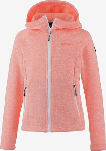 ICEPEAK Funktionsjacke in Orange: predná strana