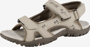REGATTA Hiking Sandals 'Haris' in Grey: front