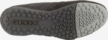 GEOX Sneaker 'Snake' in Braun