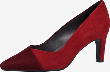 PETER KAISER Pumps in Rood: voorkant