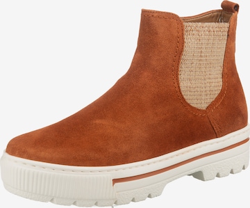 GABOR Chelsea Boots in Brown: front