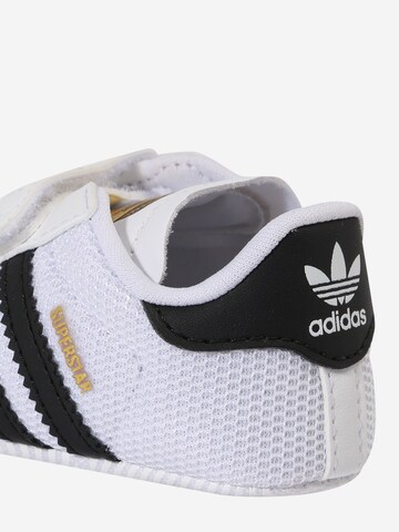 ADIDAS ORIGINALS Σνίκερ 'Superstar' σε λευκό