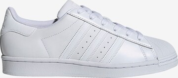 ADIDAS ORIGINALS - Sapatilhas baixas 'Superstar' em branco