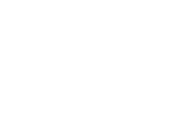 Noisy May Petite Logo