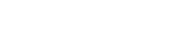 MCNEILL Logo