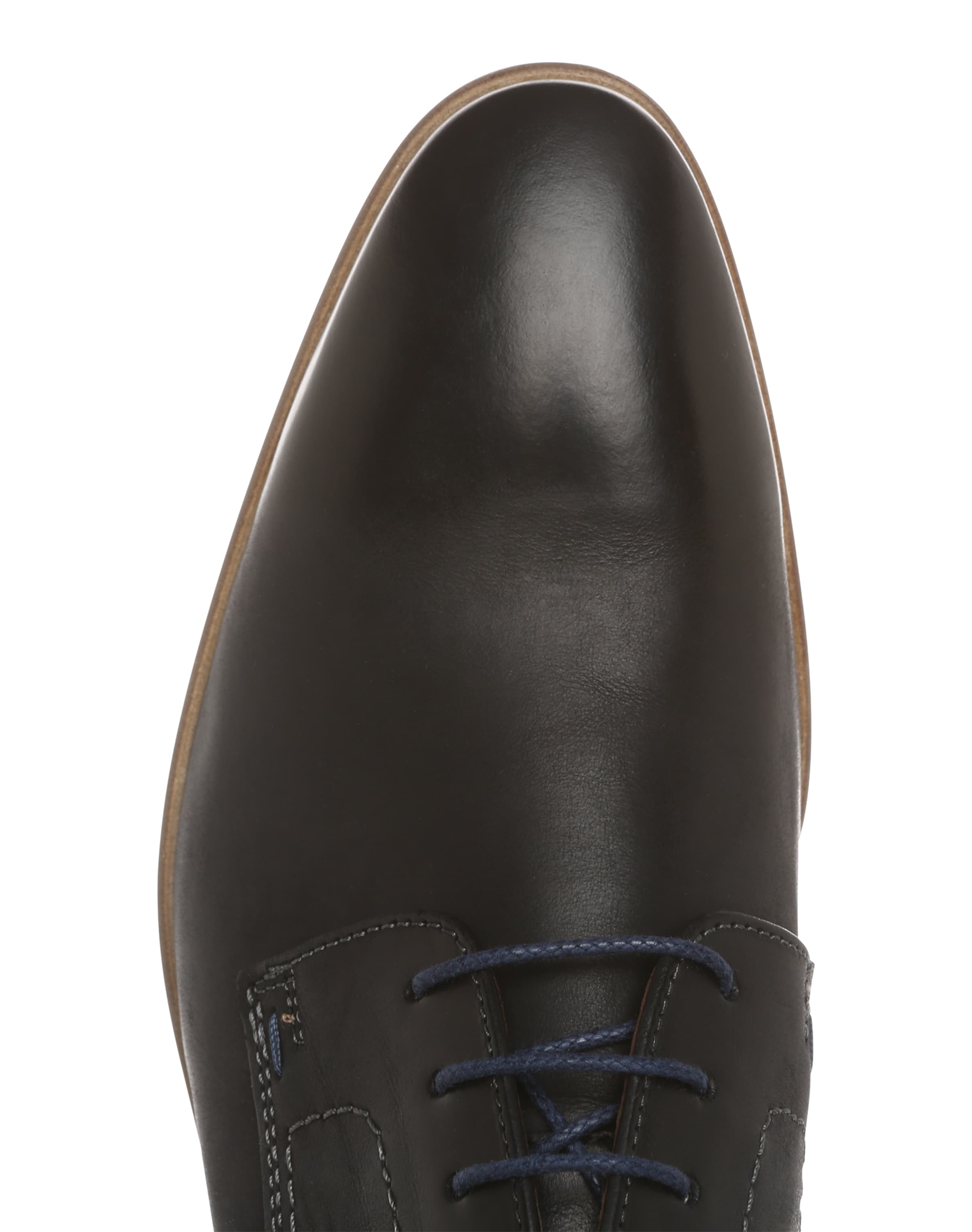 Scarpa stringata 'Dodge' di LLOYD in nero