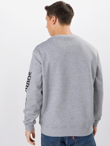 SOUTHPOLE Sweatshirt 'Halfmoon' in Grau