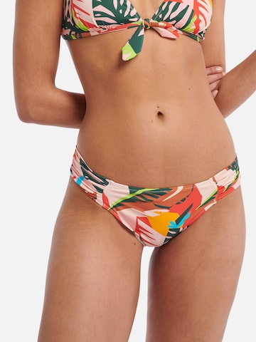 Shiwi Bikinihose 'Frangipani' - vegyes színek: elől