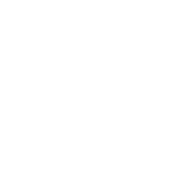 Roamer Logo