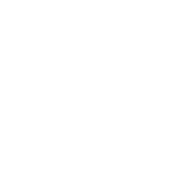 MAD TIGERS Logo