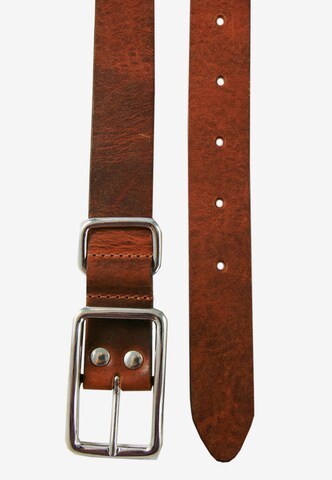 Petrol Industries Belt in Brown