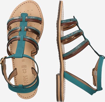 GEOX Sandalen met riem 'D SOZY' in Groen