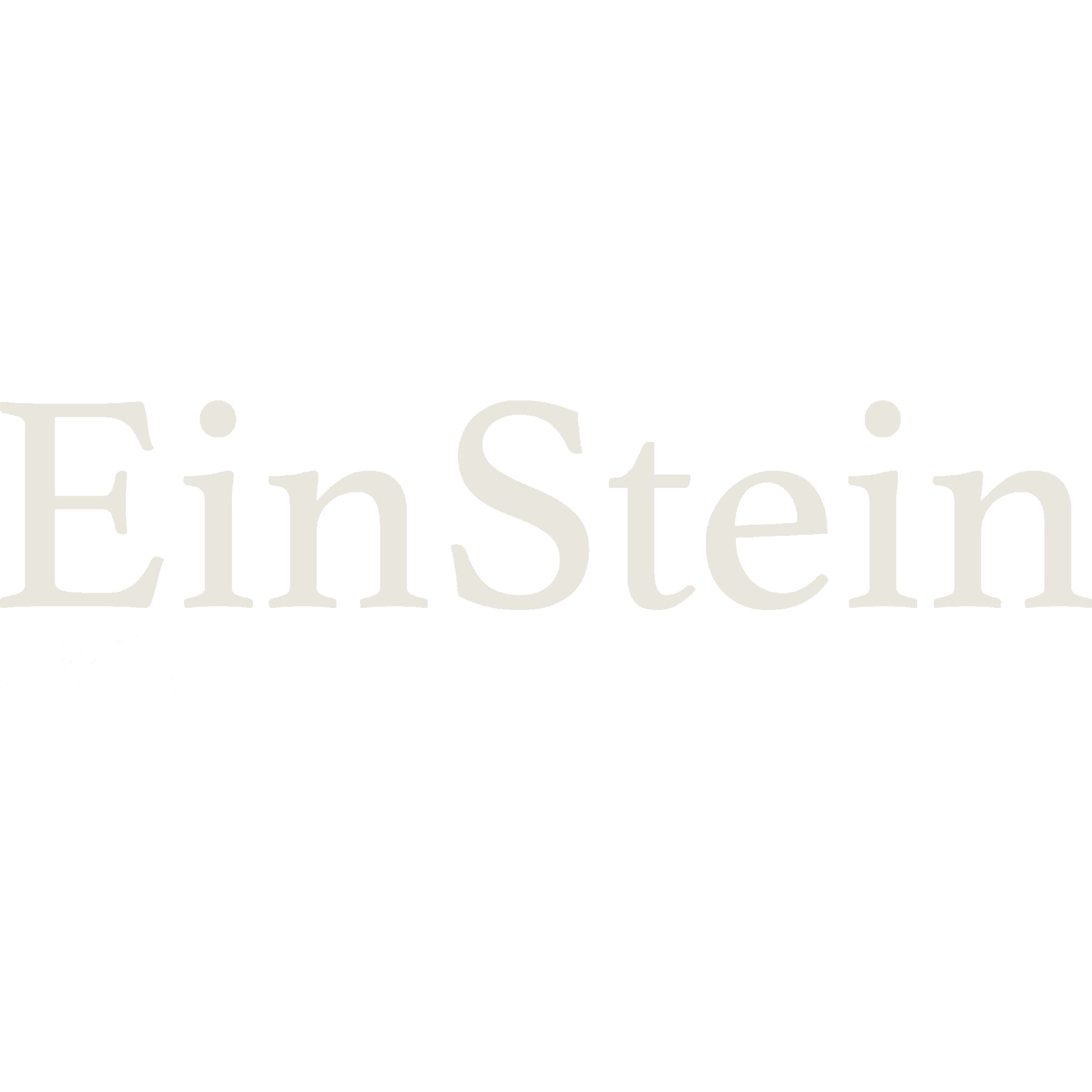 EinStein Diamant Logo