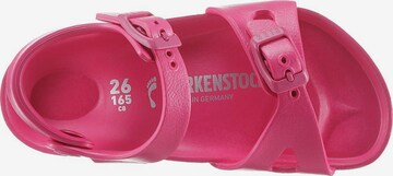 Sandales 'Rio' BIRKENSTOCK en rose