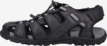 GEOX Hiking Sandals 'Strada' in Black