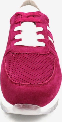TAMARIS Sneaker 'Valla' in Pink
