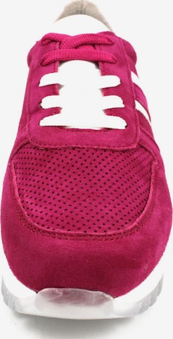 TAMARIS Sneakers laag 'Valla' in Roze