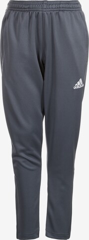 ADIDAS PERFORMANCE Tapered Sporthose 'Core 15' in Grau: predná strana