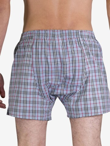 Sugar Pine Boxershorts 'Classic Check' in Grau