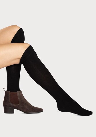 LAVANA Knee High Socks in Black: front