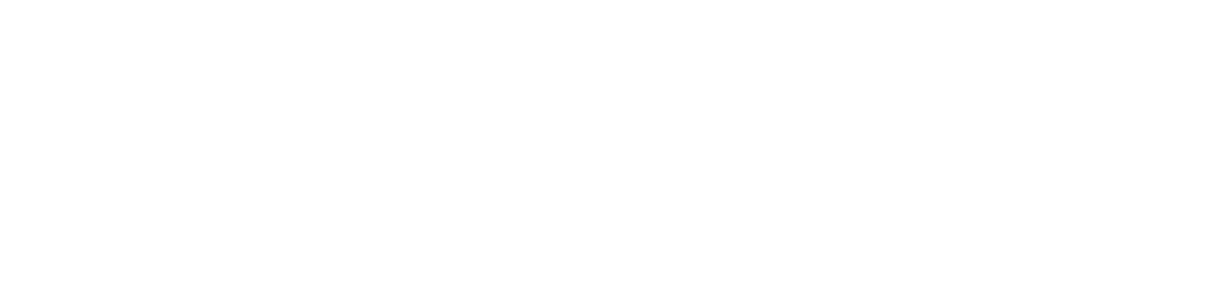 TAIFUN Logo