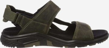 ECCO Hiking Sandals 'X-Trinsic' in Green