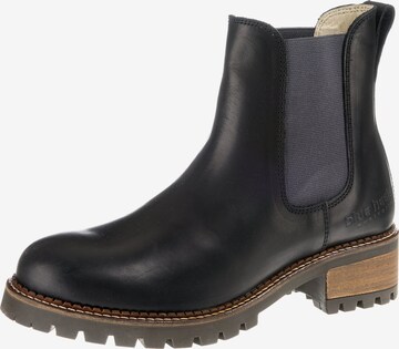 Blue Heeler Chelsea Boots 'Pash' in Schwarz: predná strana