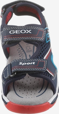 GEOX Kids Sandals & Slippers in Blue